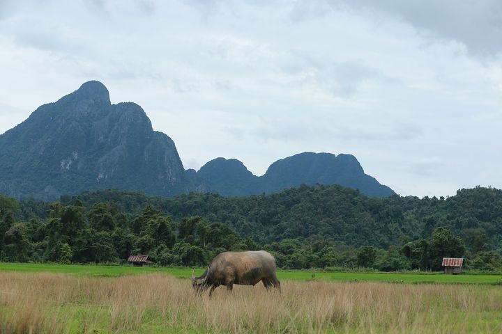 红枣期货基本面分析最新,期货基本面分析哪个软件好