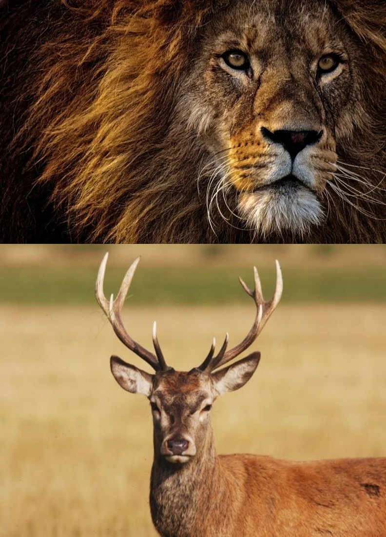 2020国产十大最好篮球鞋,2022国产篮球鞋排行榜前十名