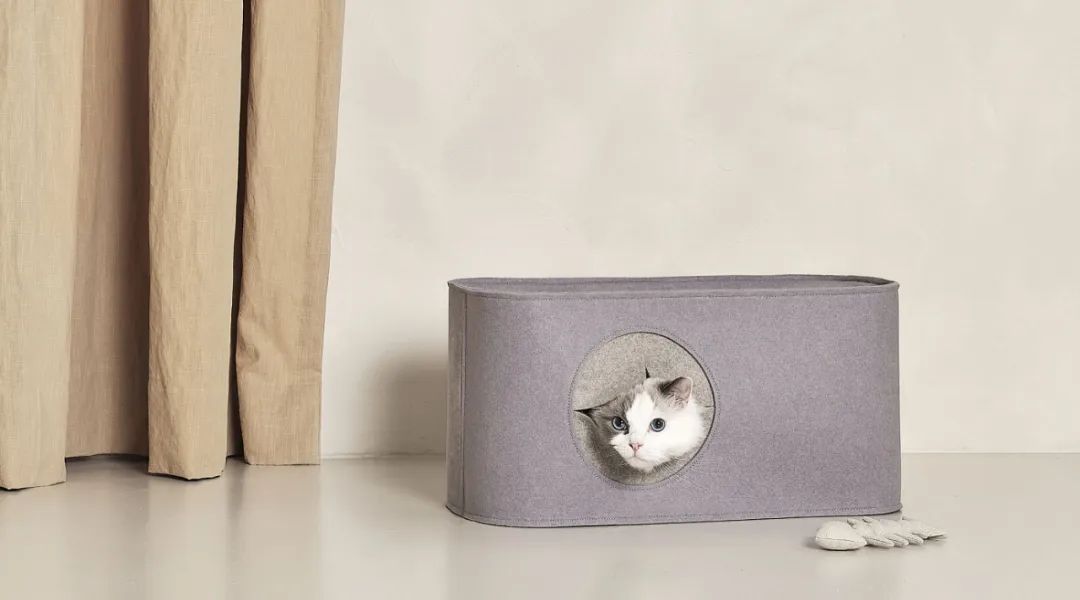 2022年iF设计奖：宠物用品类