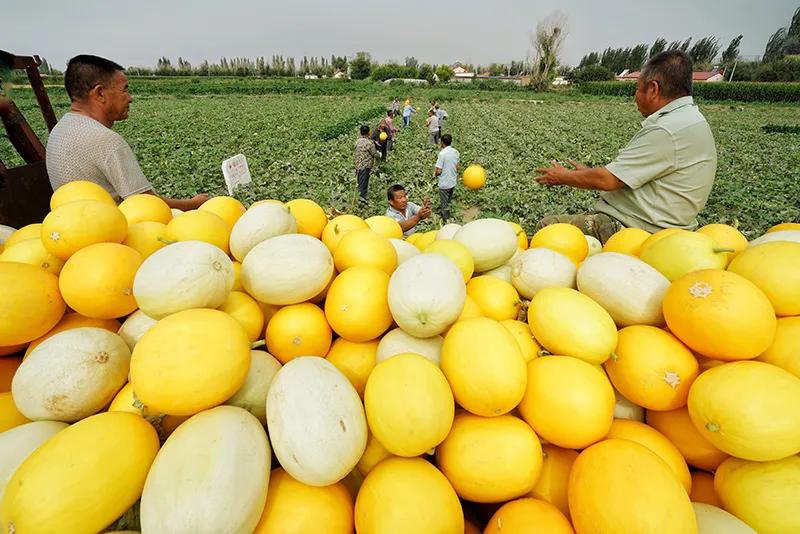大气磅礴的震撼诗词,恢弘磅礴的诗词