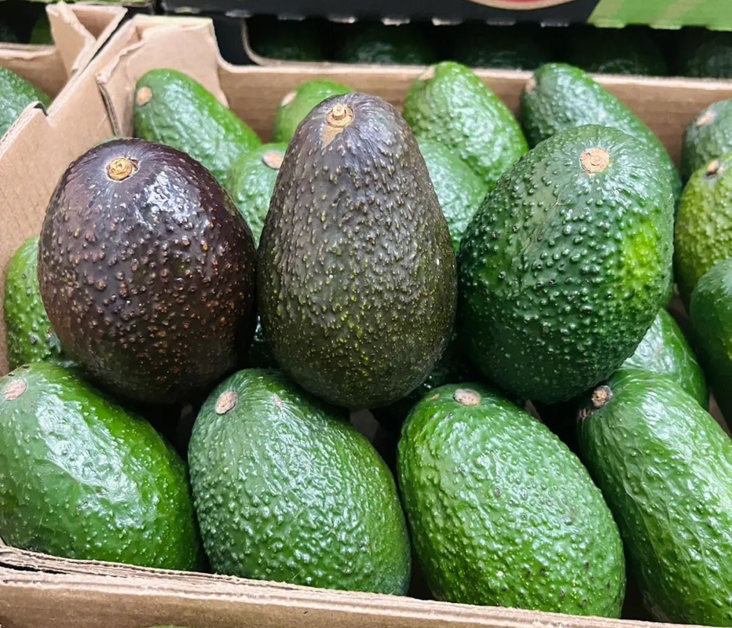 吃一个牛油果会怎样,吃一个牛油果能升多少糖