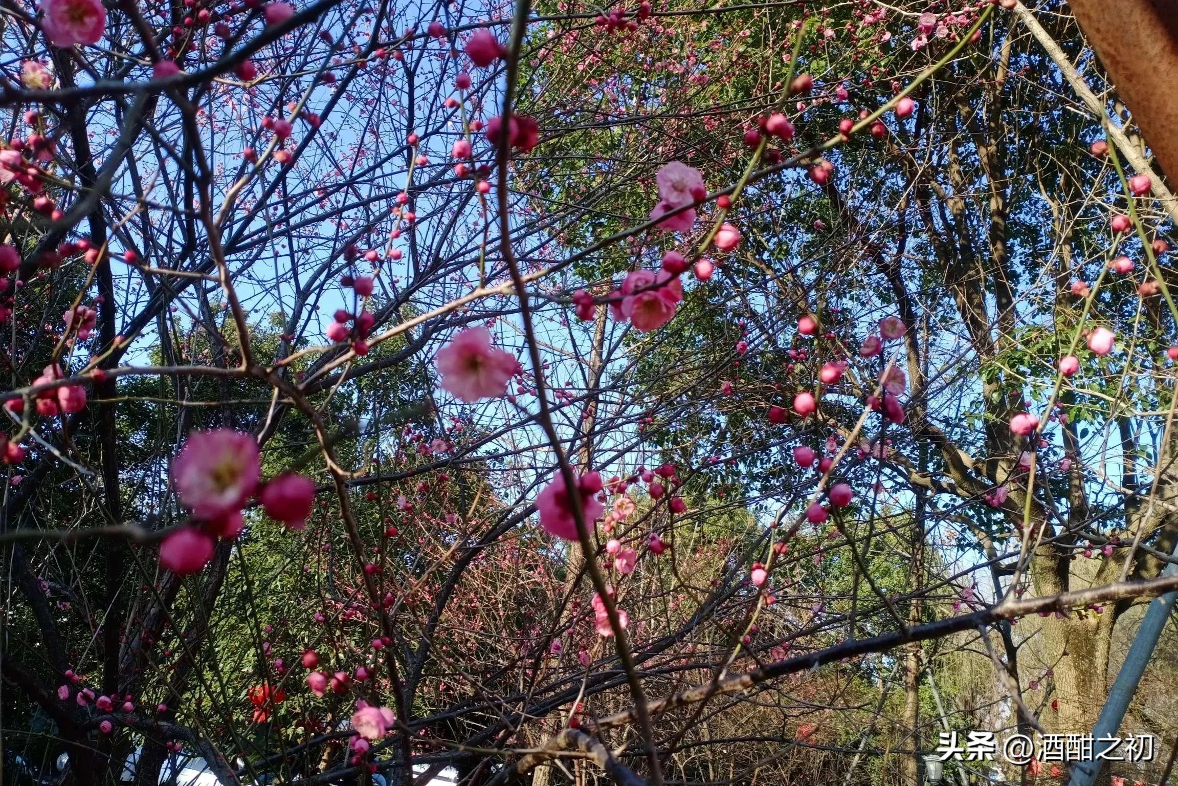 乡村故事私奔6,乡村故事65集