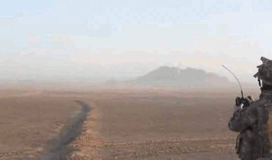 真实大象的照片,在野外拍到的真实大象