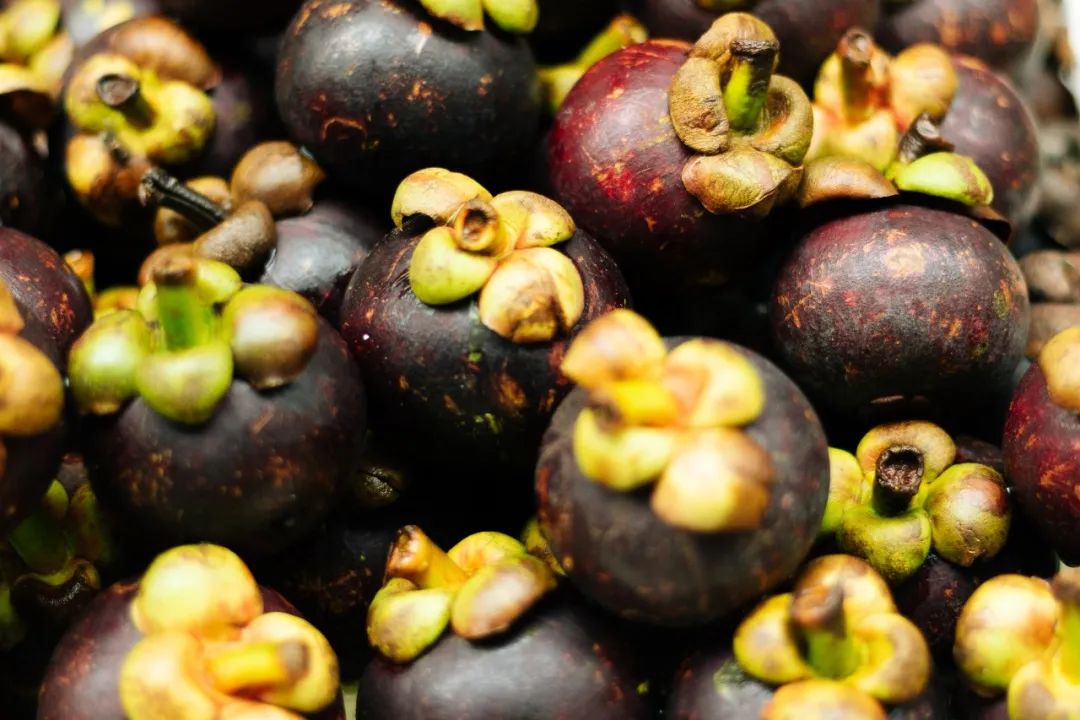 几月最适合吃什么水果,最适合七月吃的水果是什么