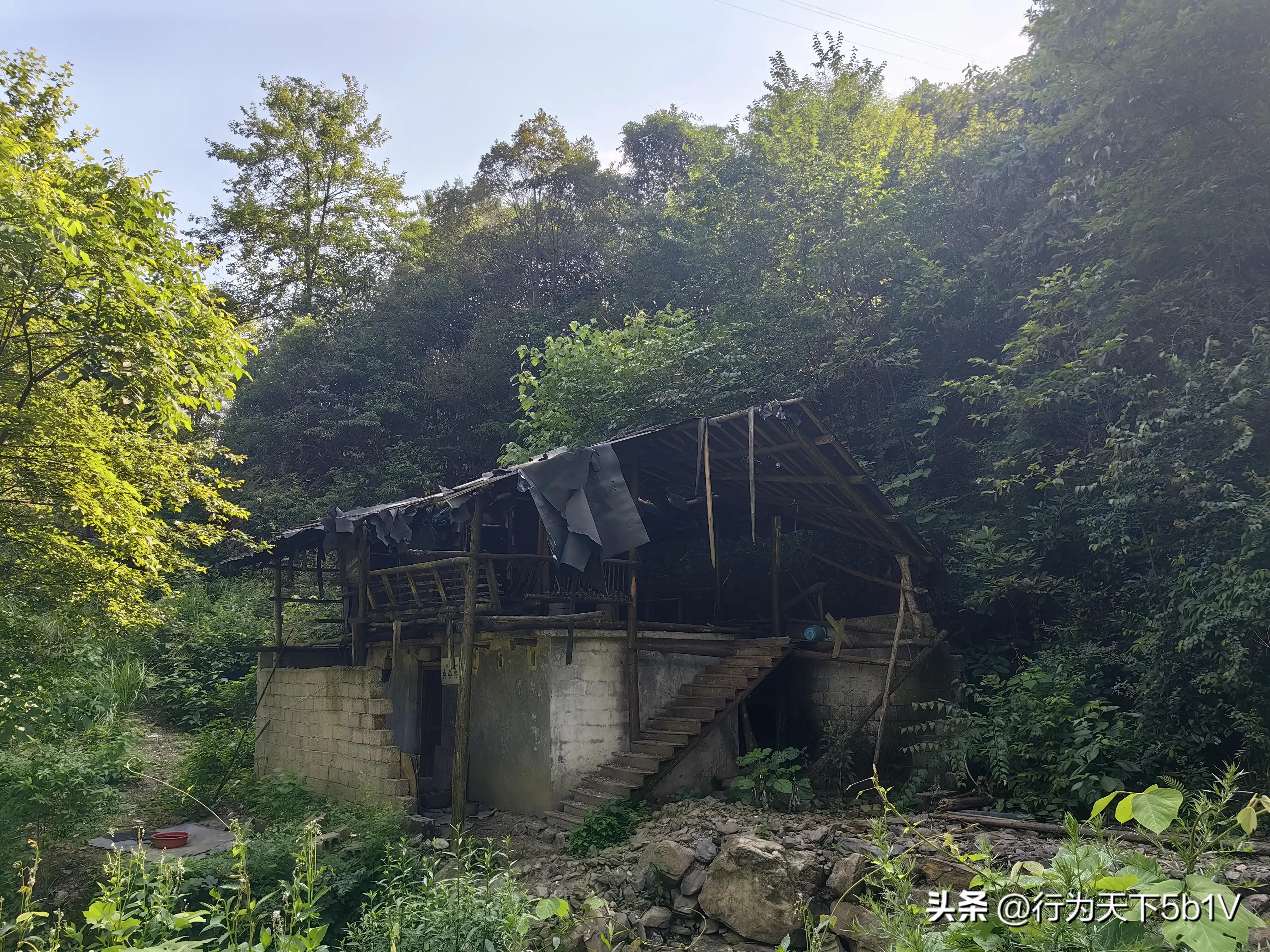 【探秘金紫山下的清凉秘境】行走在资源资江源大峡谷的风景线上