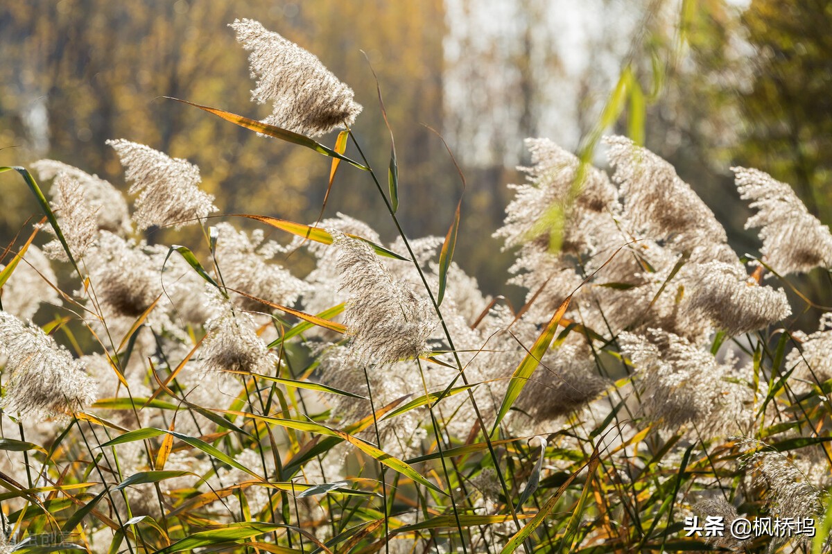 预感不好的事情真的会发生,预感有不好的事情发生