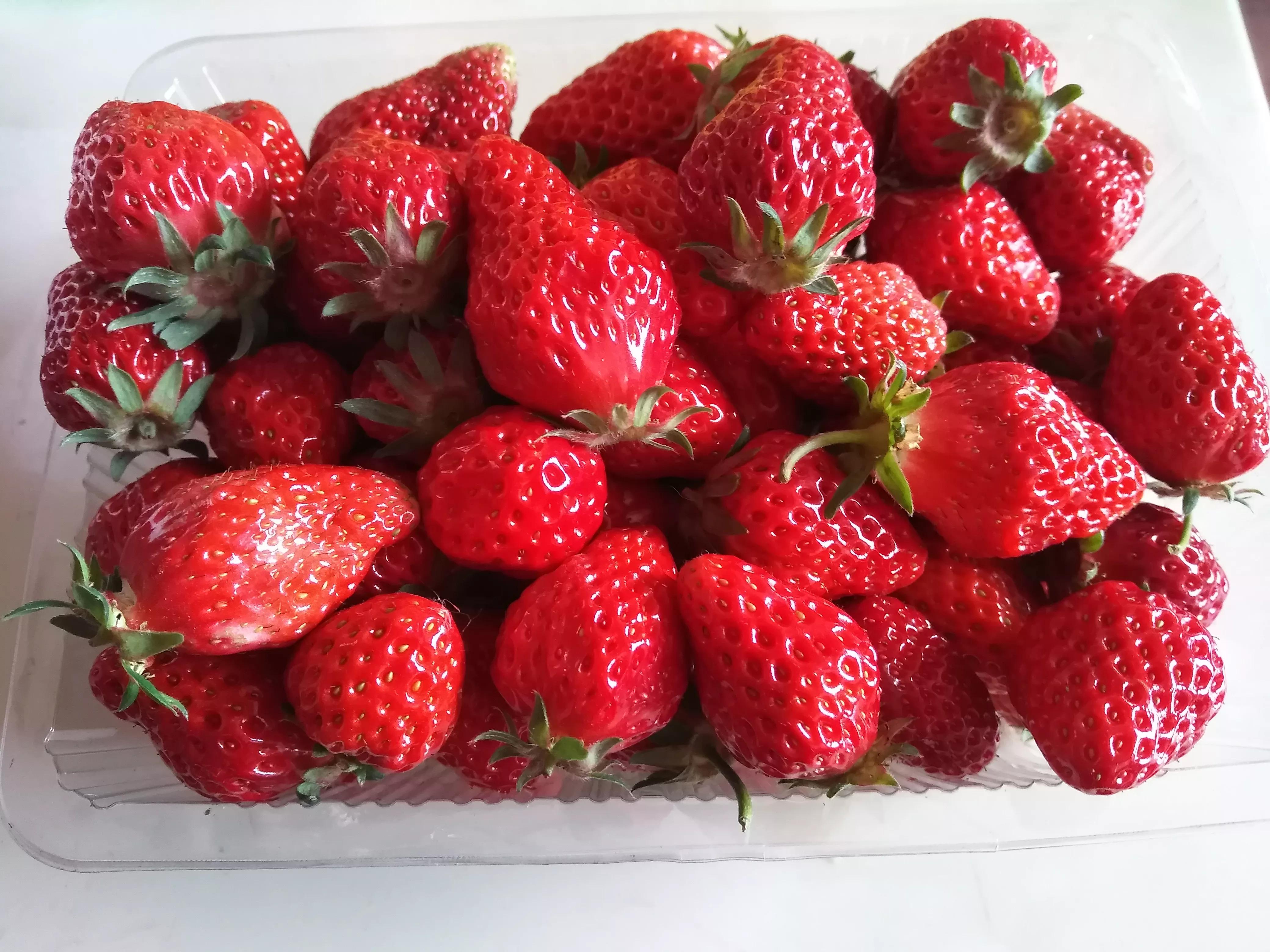 把人家鼻梁骨打断了赔多少钱,被人打鼻梁骨对方不肯赔偿