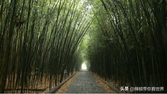 焦作大自然风景,焦作市文化圣地有哪些