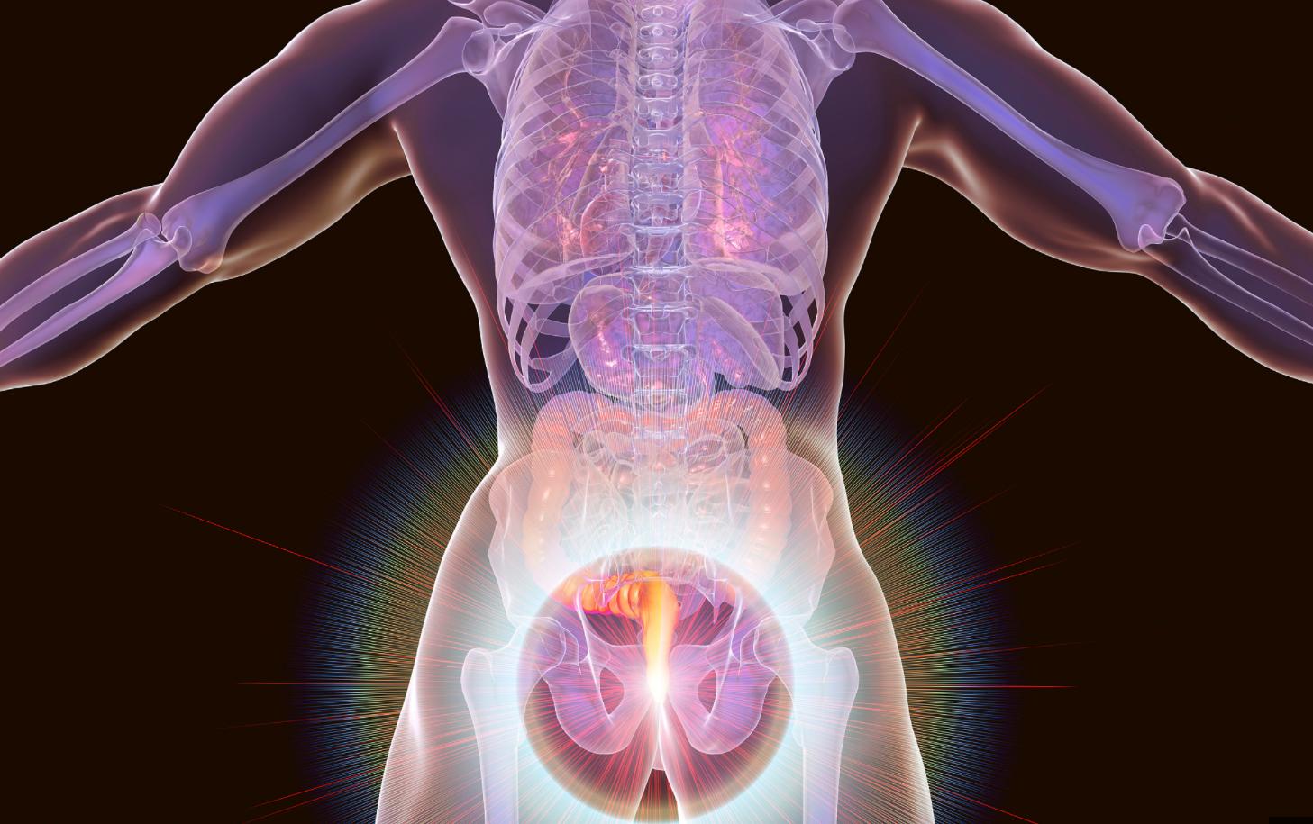 爱干净小常识,爱干净的四种习惯