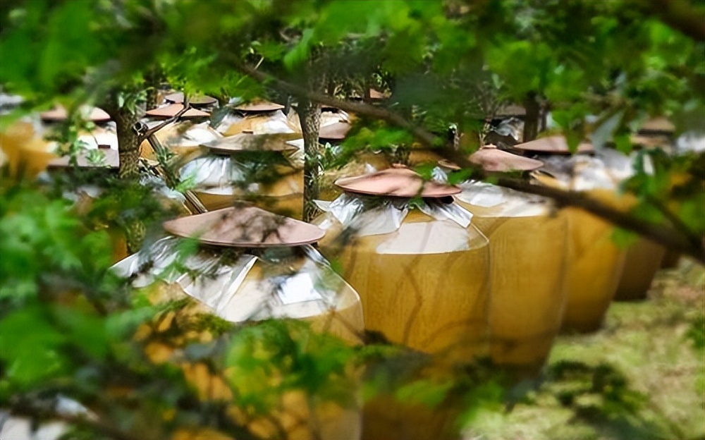 古川酒有什么推荐,古川酒好不好喝