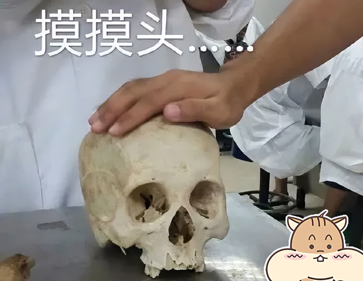 医学专业就业前景排名,医学就业排名