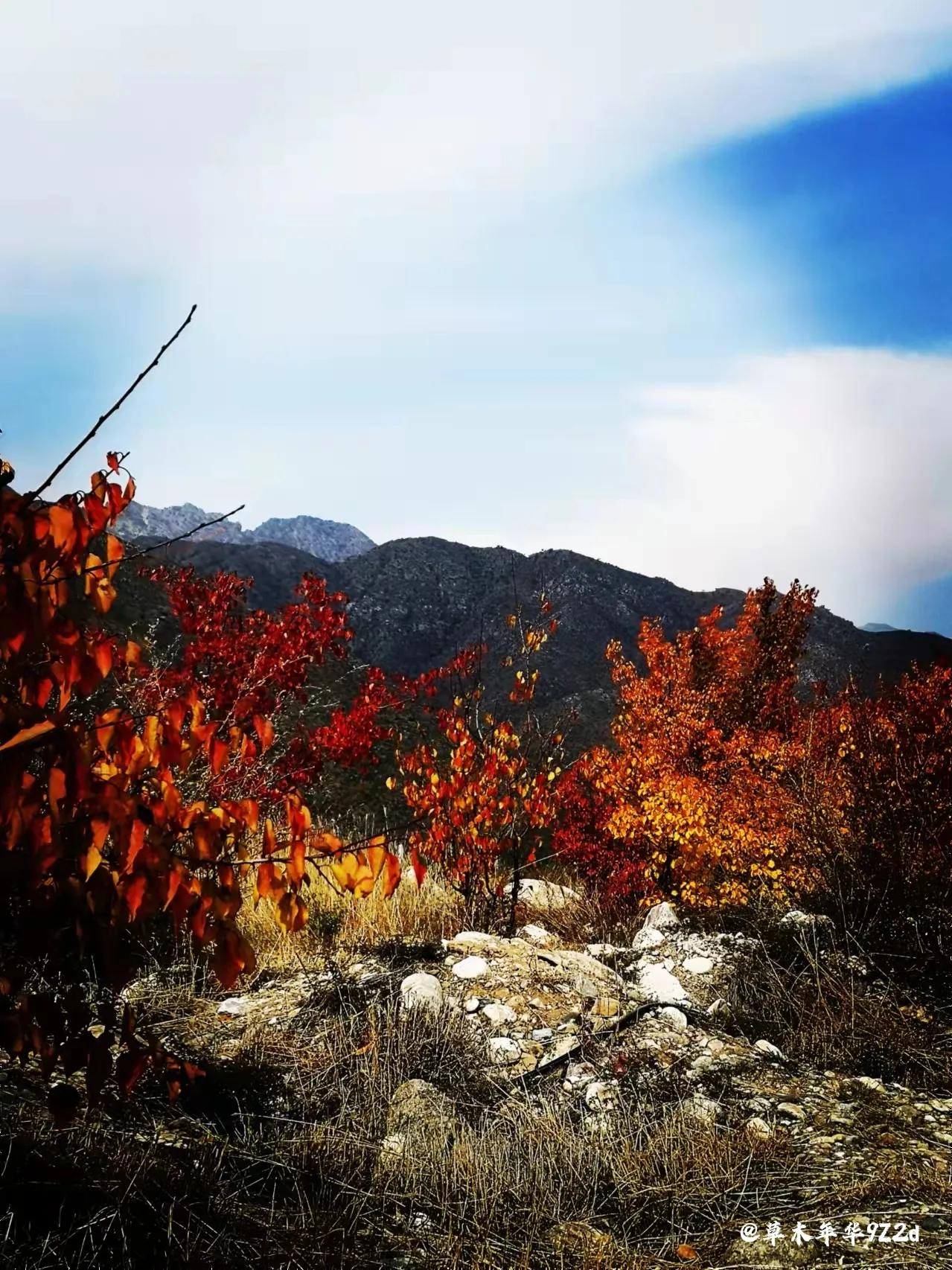 朔北风寒之男儿风骨