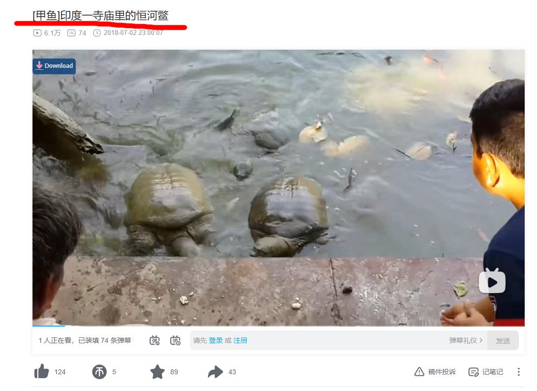 恒河鳖为啥无人敢吃,中国的恒河鳖