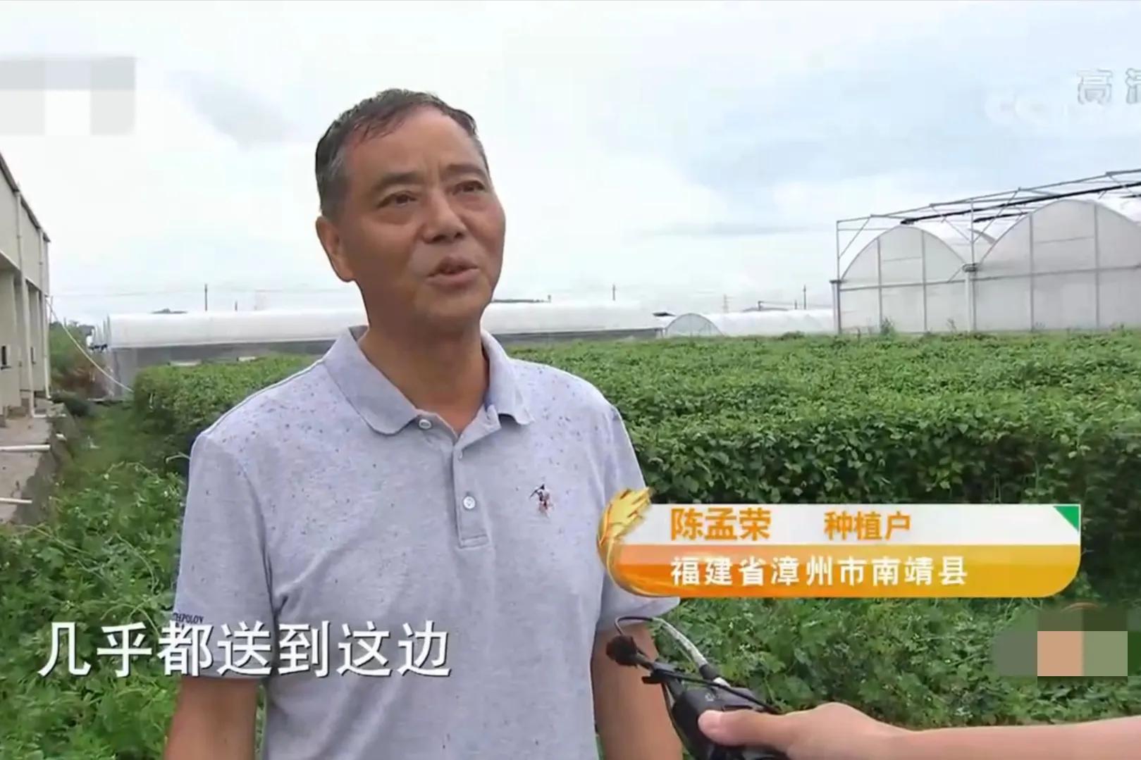 90后小伙承包15亩果园,湖南小伙承包五千亩四年赚上千万