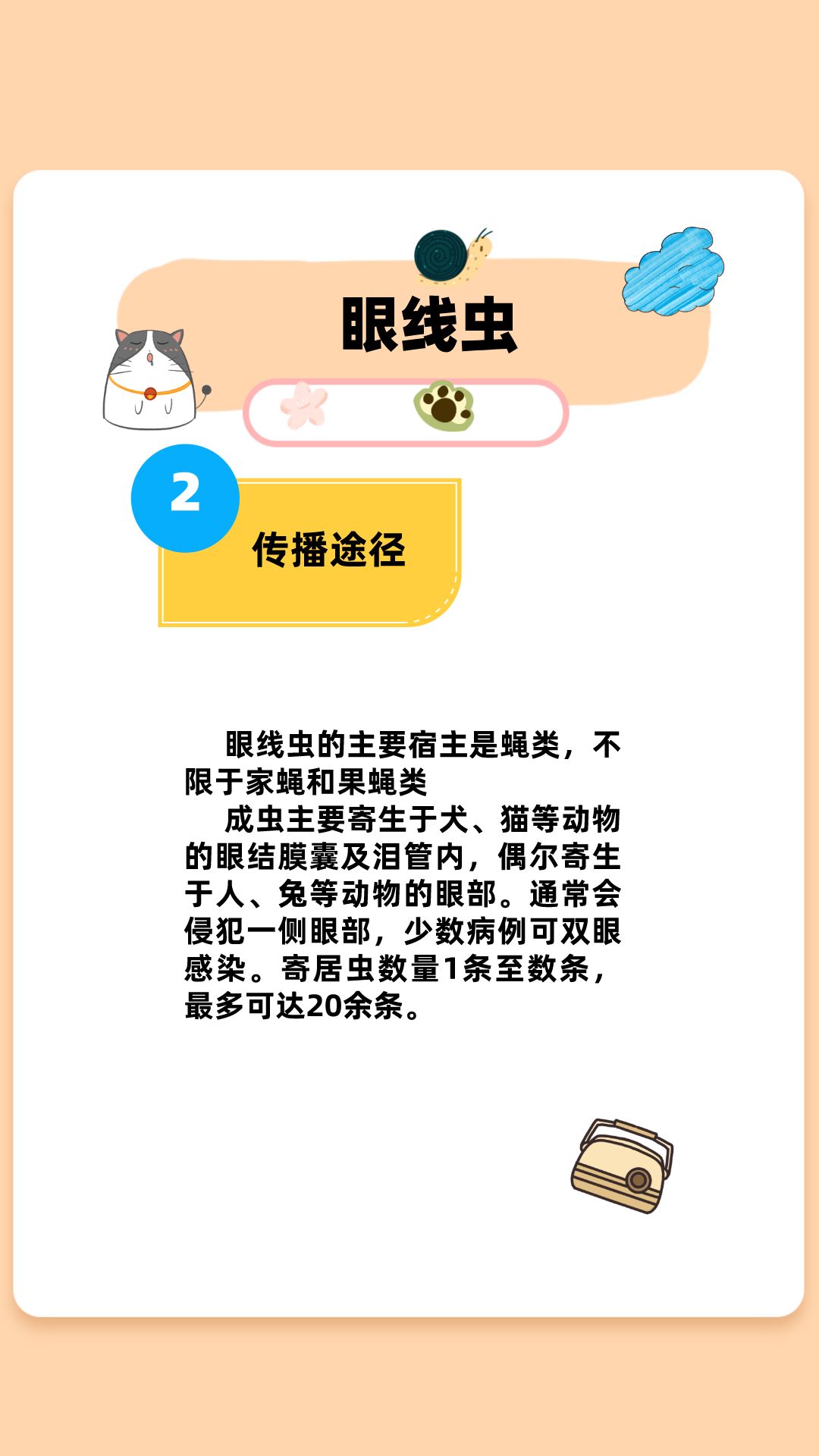 小奶猫如何预防真菌感染,如何判断猫咪是否有眼线虫