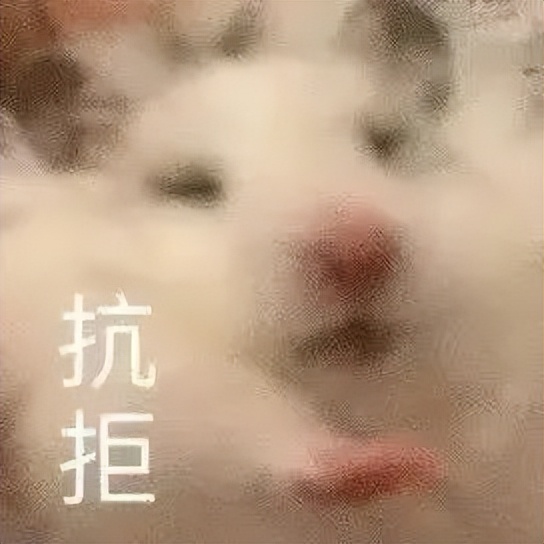 中了4.8个亿,中了4.48亿