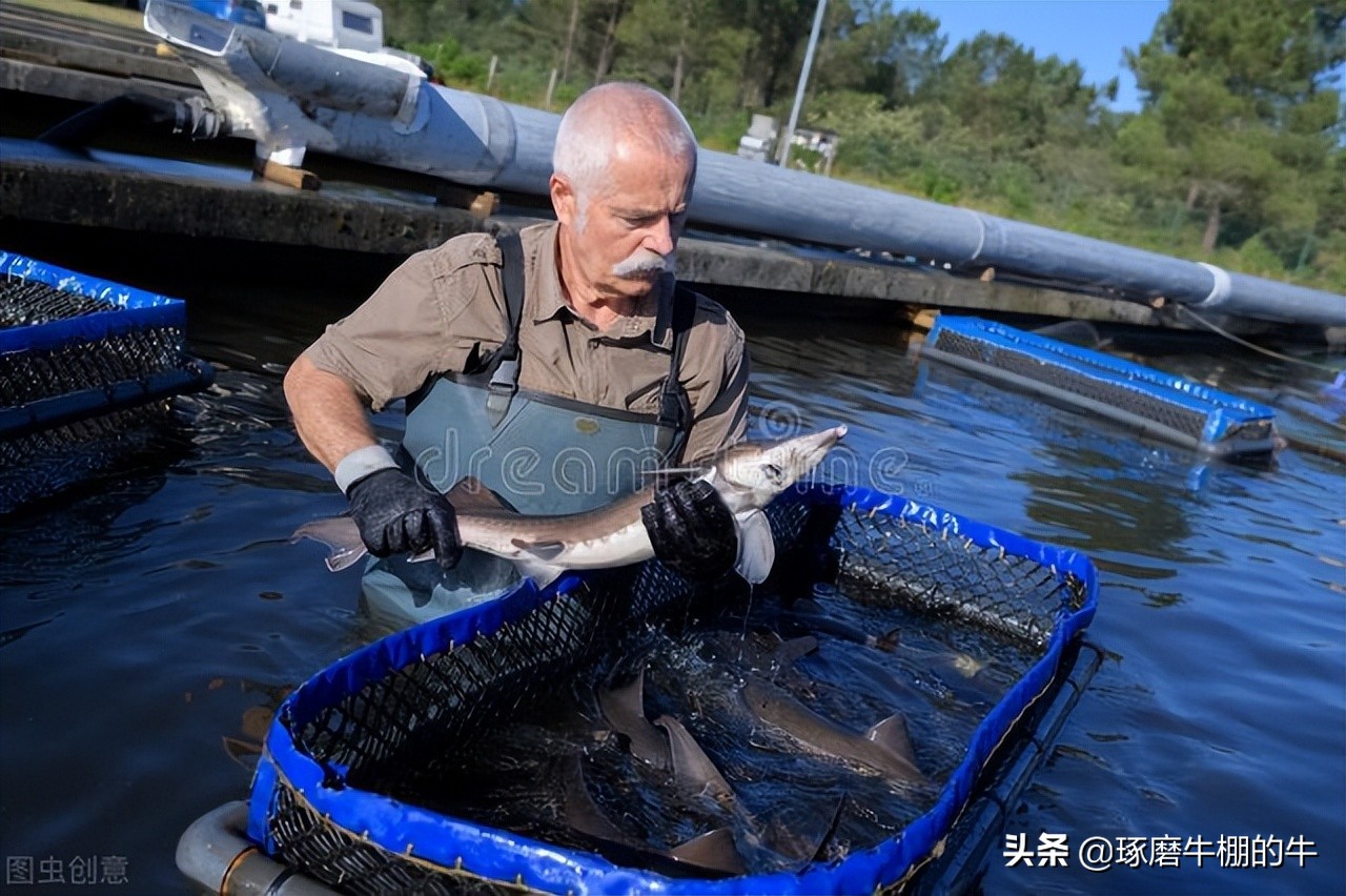 大连天津街曾经很辉煌,大连天津街步行街实景
