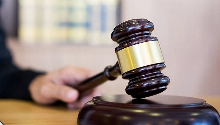 大学生卖两只鸟被判6年,男子200块钱买4个鸟被判刑