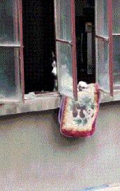 搞笑gif趣图姑娘你怎么这么凶啊,趣图搞笑美女