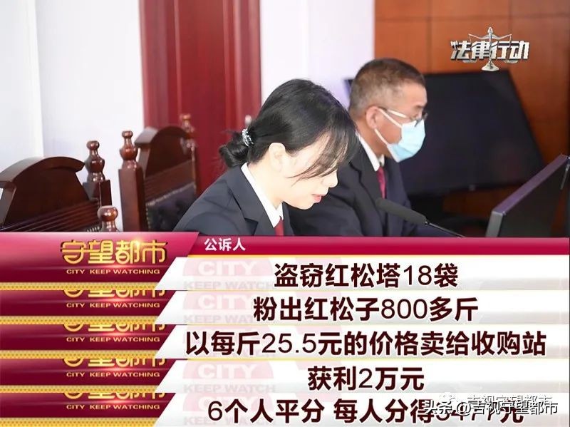 偷林场的松塔犯法吗,捡松塔违法吗