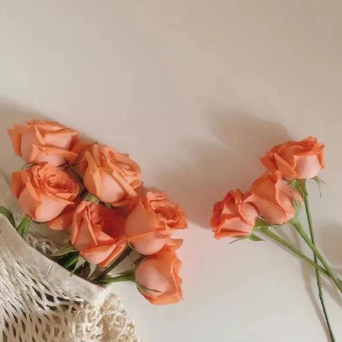 文案高清背景图干净治愈,背景图干净治愈系高清