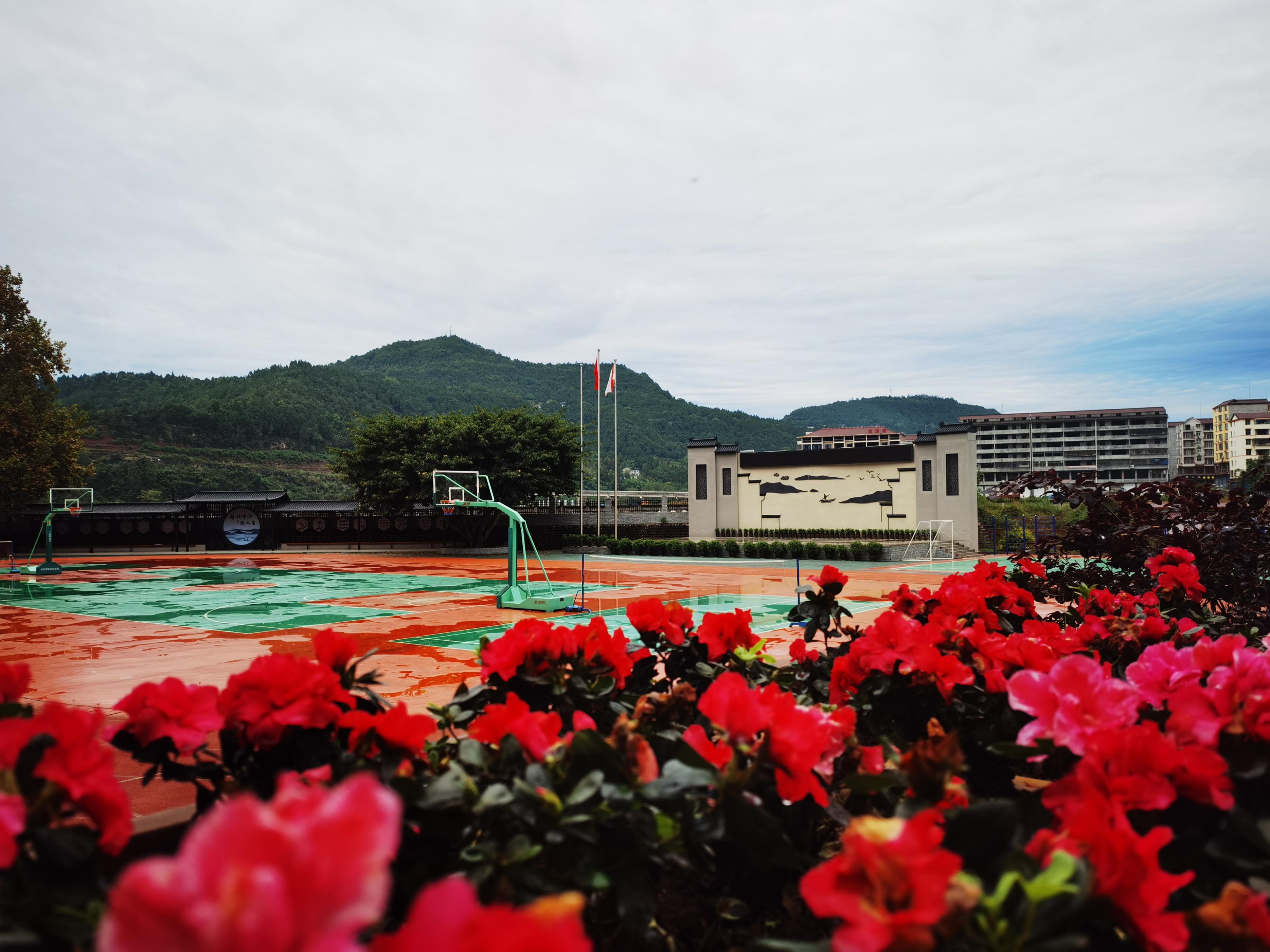 苍溪县歧坪中心小学,歧坪小学社团