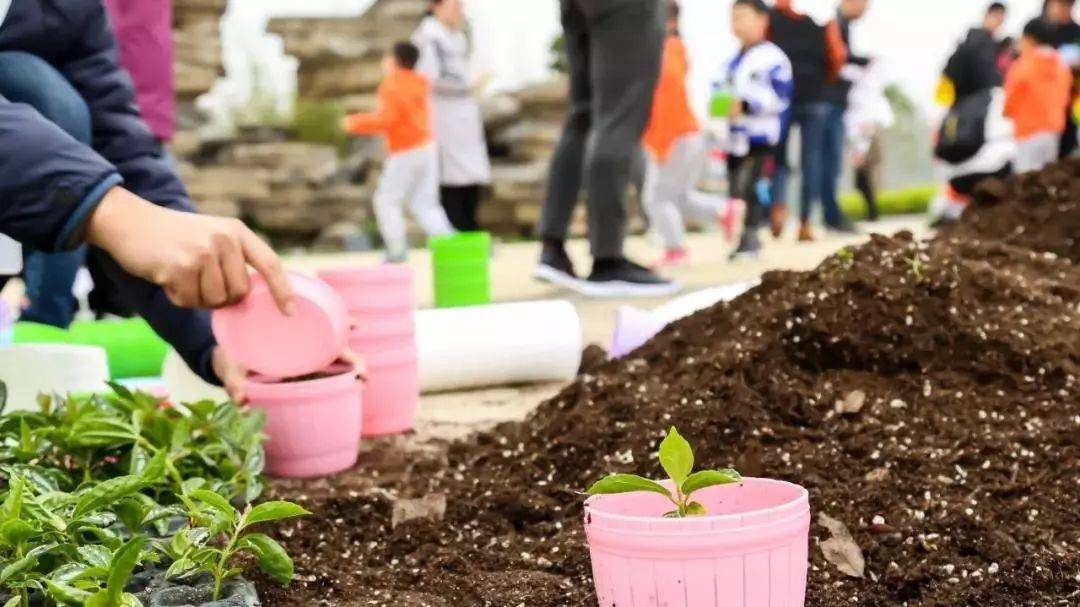 张家港农场网红打卡,周边农场网红打卡点创意
