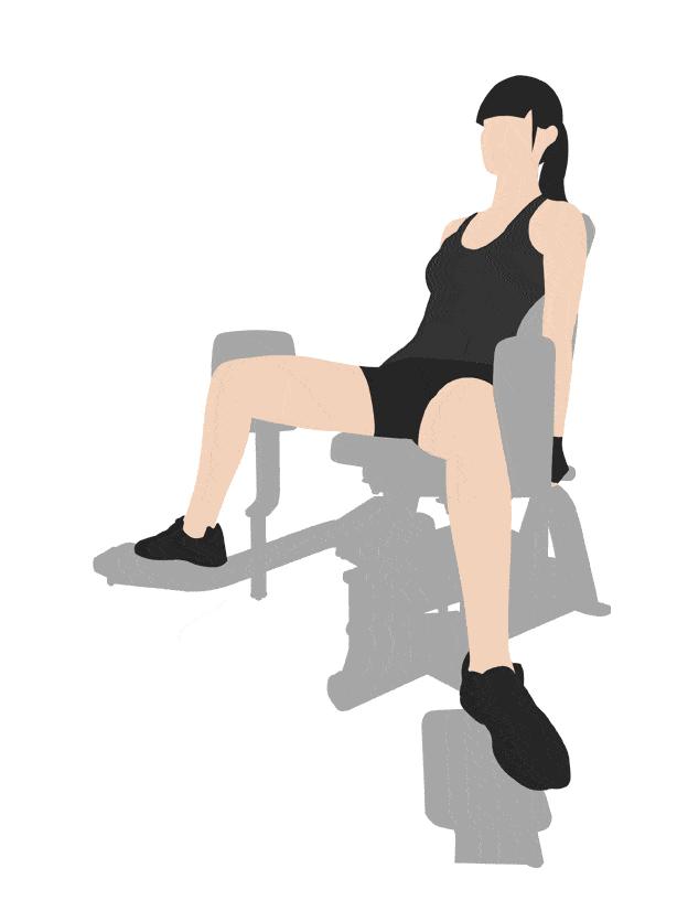 家庭健身房器械如何搭配,健身房器械使用教程女生