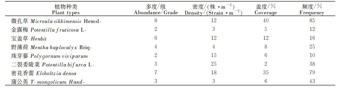 微孔草的种植技术,长圆叶微孔草介绍