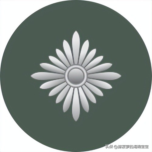 二战德国国防军医疗兵军衔标志