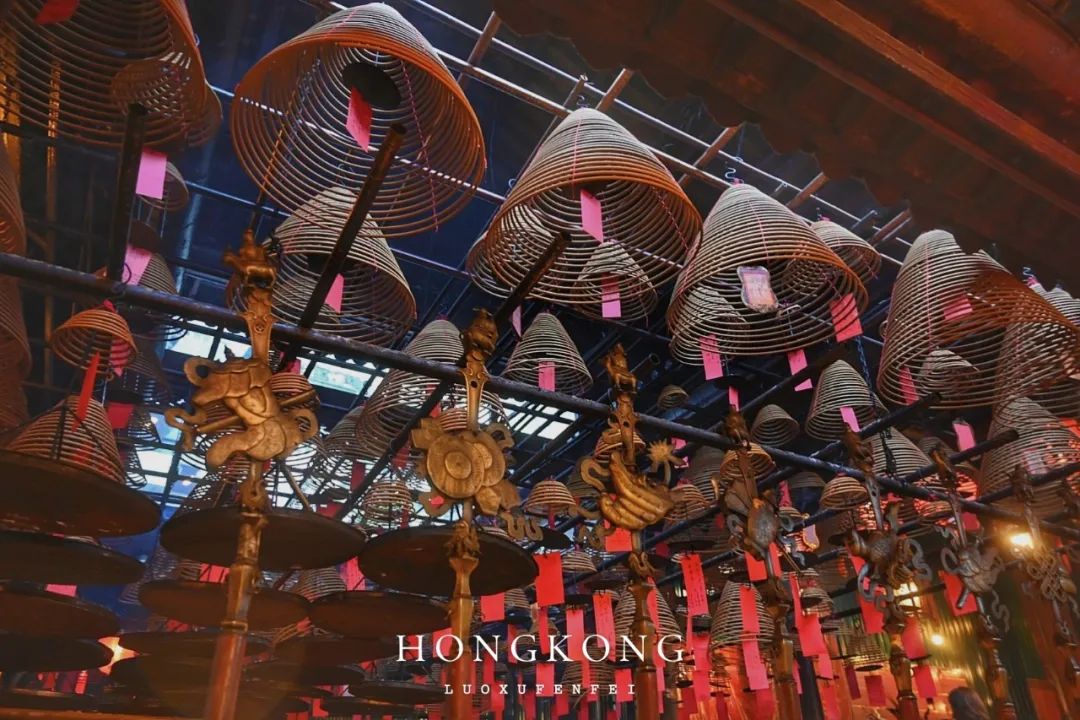 去香港旅游跟团需要签证吗,香港跟团旅游避坑攻略