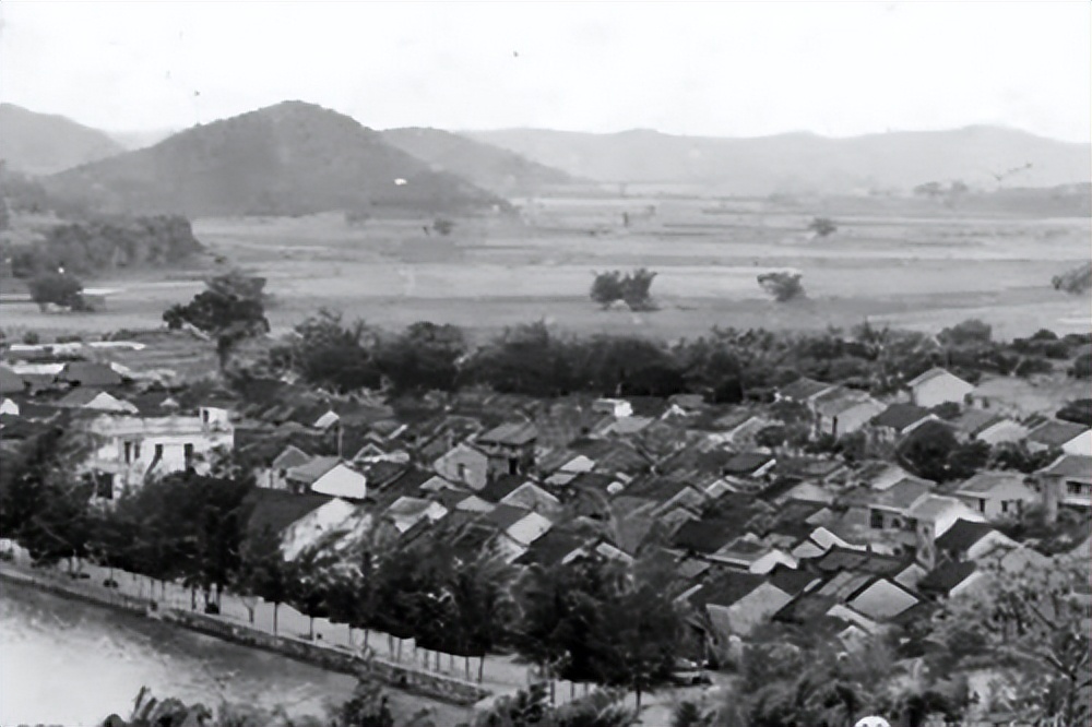 东莞隐形首富卖菜起家身家300亿,东莞首富发家史靠卖菜起家