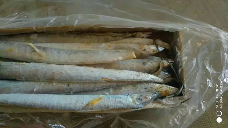 现场太火爆了，明天下午2点老地方见