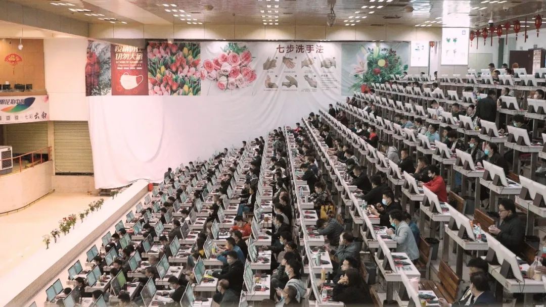 云花大结局云花和谁在一起了,斗南云花