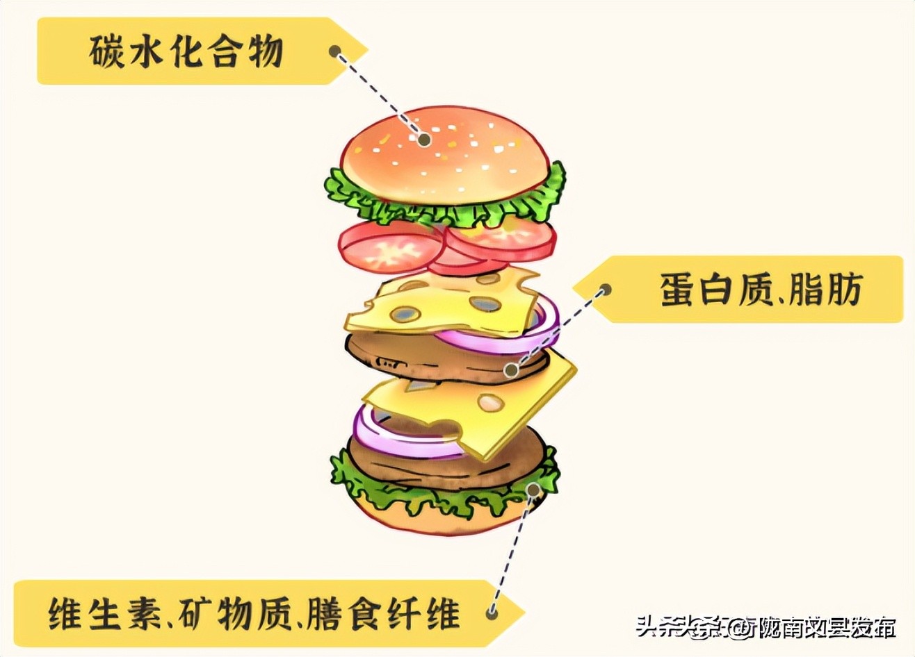 告诉你哪些垃圾食品不要再吃了,你认为的垃圾食品真的可以放心吃