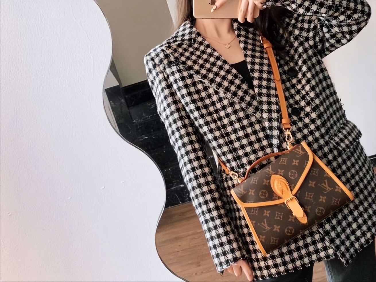 私藏十大必买小众包,lv老花中古包怎么选