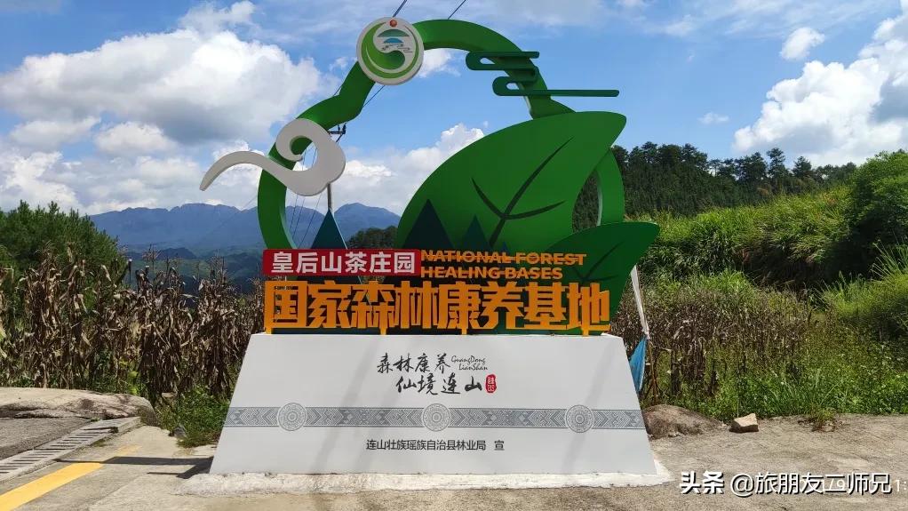 清远金子山旅游攻略看雾凇,广东金子山雪景旅游攻略