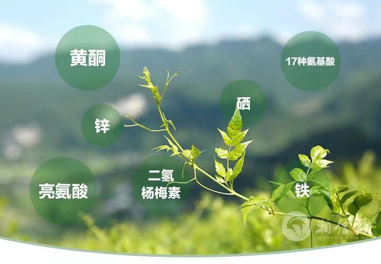 高端莓茶礼盒,小界莓茶怎么泡