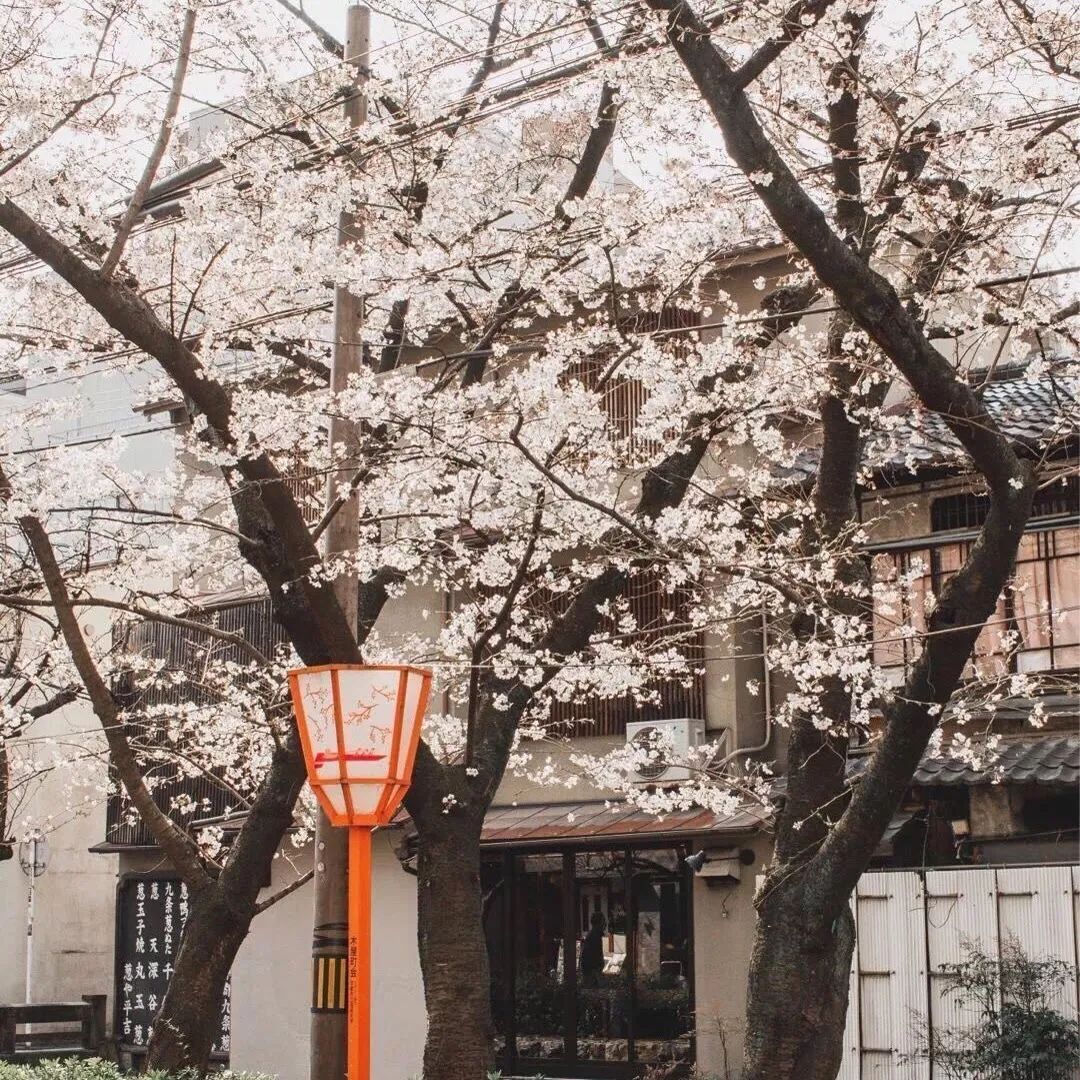 开始期待夏天的海边文案,期待夏天的文案