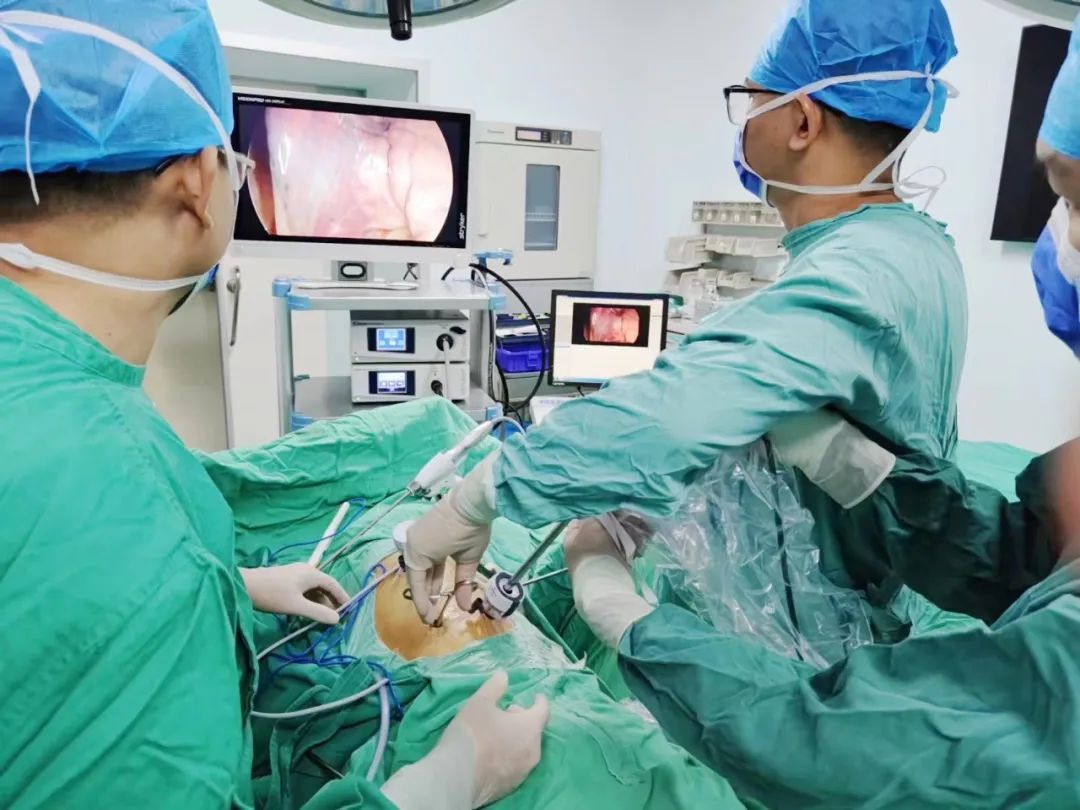 内镜下胃腔内缝合术,胃镜手术治疗食道裂孔疝