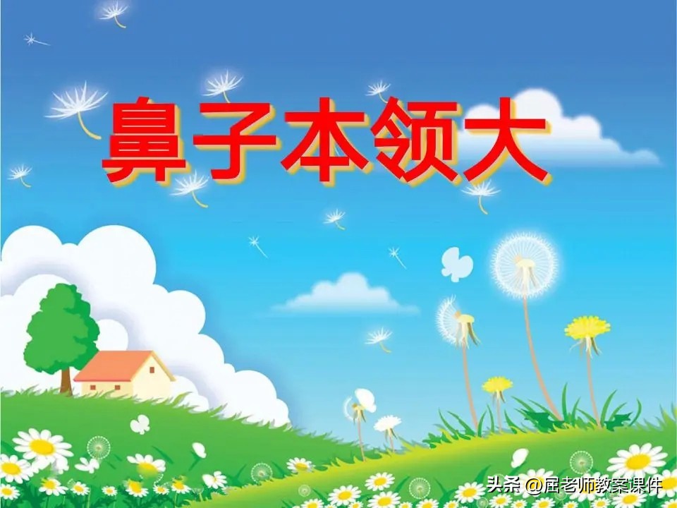 重要的鼻子中班教案,中班健康鼻子的秘密教案