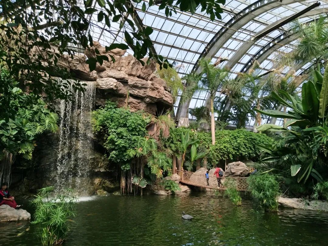 优待证在天津哪些景区免门票,天津优待证免门票的景区有哪些