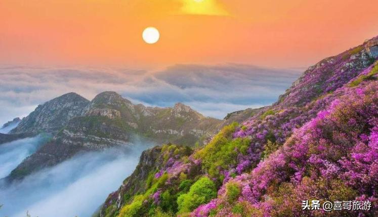 辽宁省大连市金州区旅游景点,大连金州区旅游地点推荐最新