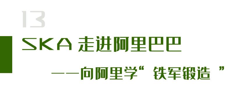 苏可安药业,浙江苏可安药业有限公司