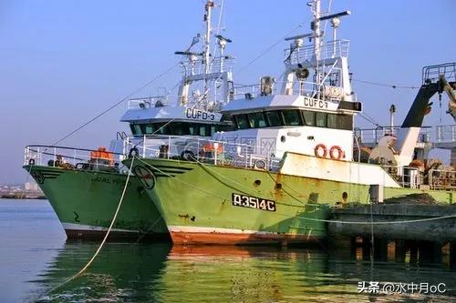 出海捕鱼工作真实经历,记录我的出海捕鱼时光