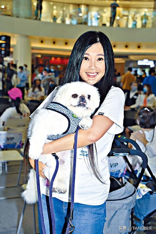 95神雕侠侣郭襄图,95版神雕侠侣郭襄在哪集