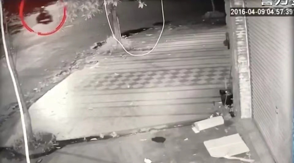 离谱！广西已婚少妇交往百位情人，只因太大方给钱被杀害！