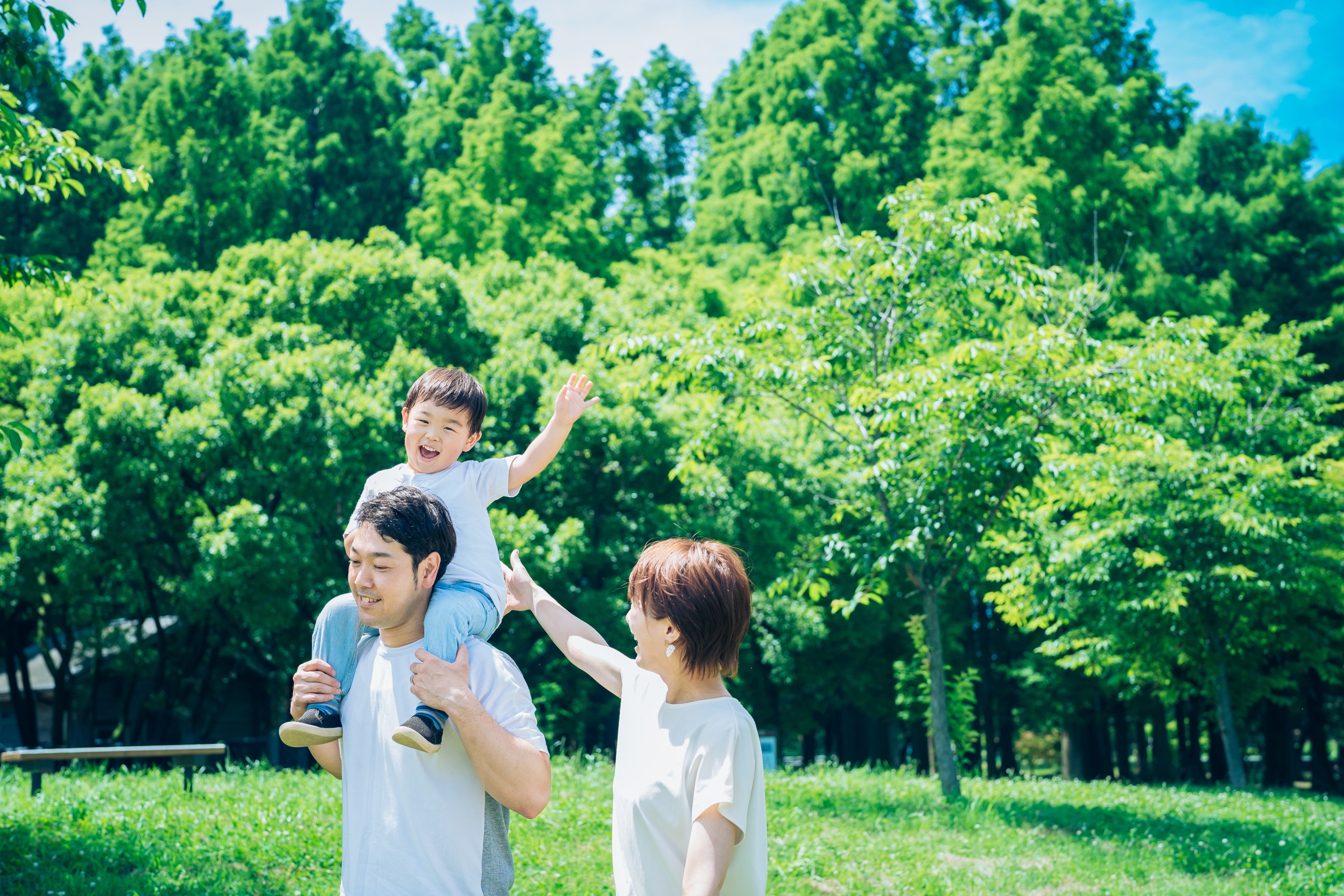 办公室绿植护眼,可以放在办公室的绿植有哪些