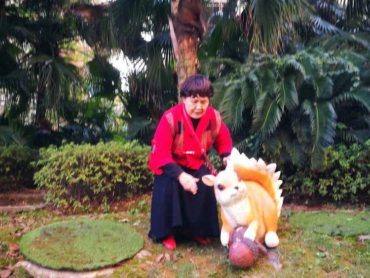 株洲市阳光新城,株洲魅力新城全景