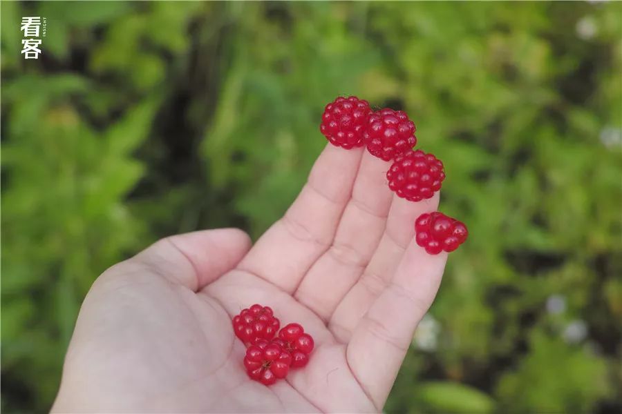 小镇的暑假,小镇少年的假期